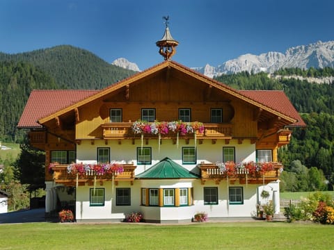 Apartment type A Reiteralm - Kurzbucher - Heisshof Farm Stay in Schladming