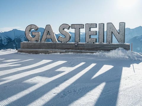 AAA-Apartment Bad Gastein/Böckstein Apartment in Bad Hofgastein