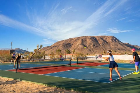 Sport court