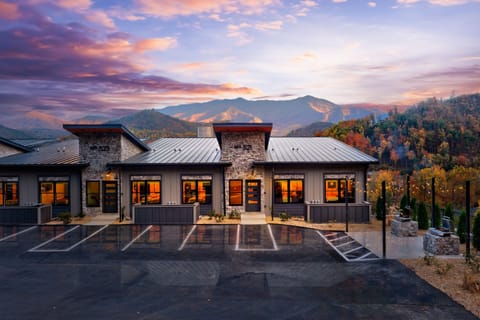 A rustic elegance exterior of the cabin framed by scenic mountain!