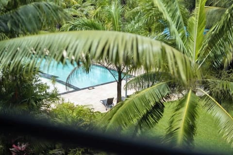View from patio