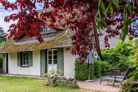 Traditional Thatched House with Garden