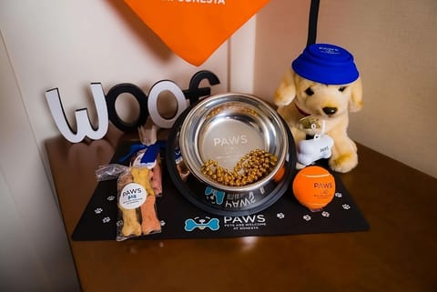 Treat your pup to a thoughtful pet-friendly welcome kit.