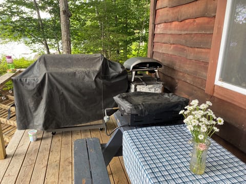 Grill and picnic table on deck