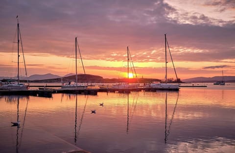 Take in sunset silhouettes overlooking the marina promenade.