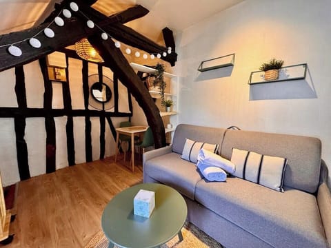 Main living room with sofa bed, TV and kitchenette