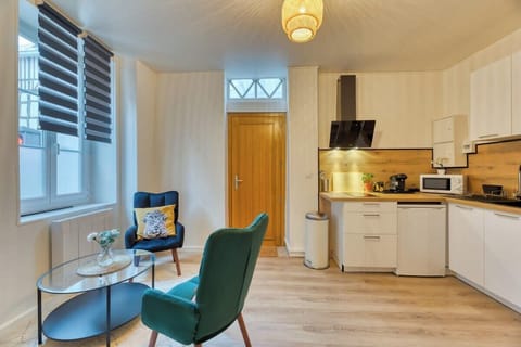 Cuisine ouverte sur séjour aménagée et équipée