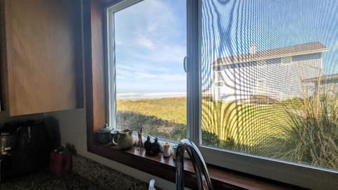 view from kitchen sink