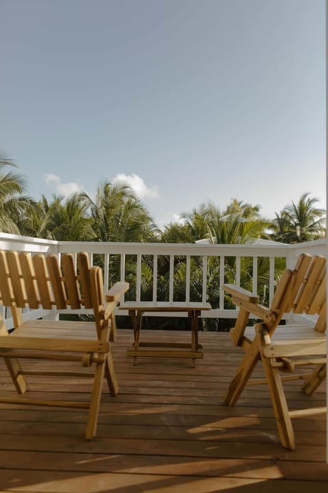 Palm Trees Deck