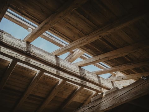 Alpen Loft "Mondholz" - Granary Apartment in Salzburgerland