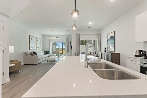 Open-Plan Kitchen and Living Area
