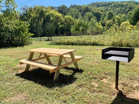 Picnic Table and Park Grill