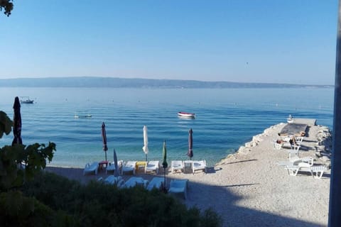 Immediate Surroundings [summer] (<1 km)