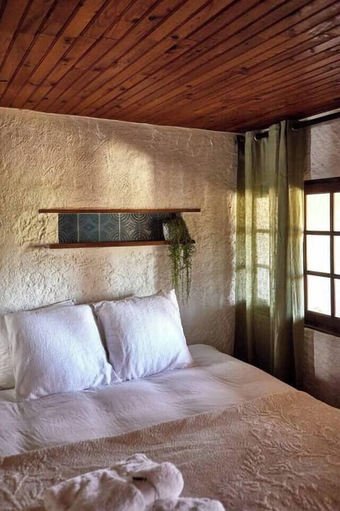 b5120297-7545-40c8-9ea1-b9155456039a