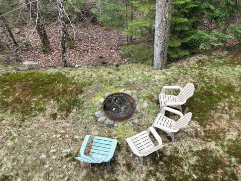 Ariel of fire pit area