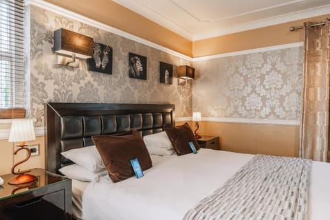 Suite with 1 King bed