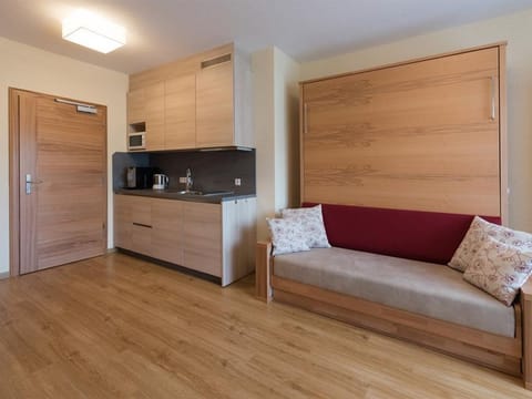 Apartment Schladming - Bio-Pension Aussacher House in Schladming