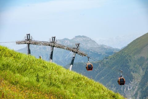 Region [summer] (>5 km)