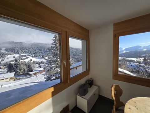 Winter, Daylighting, Hardwood, Freezing, Snow