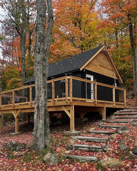 EXTERIOR OF THE CABIN IN FALL