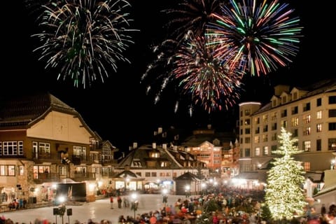Fireworks illuminate the sky