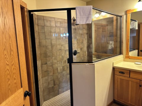 WALK IN GLASS SHOWER