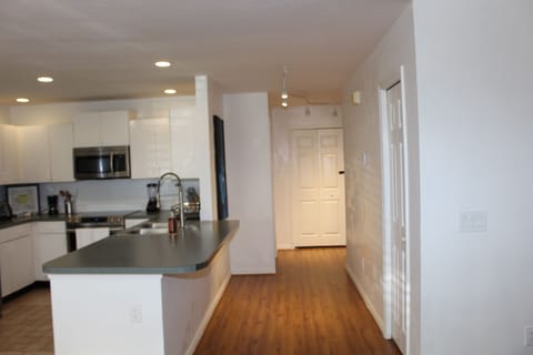 Modern kitchen with all essentials for home cooking