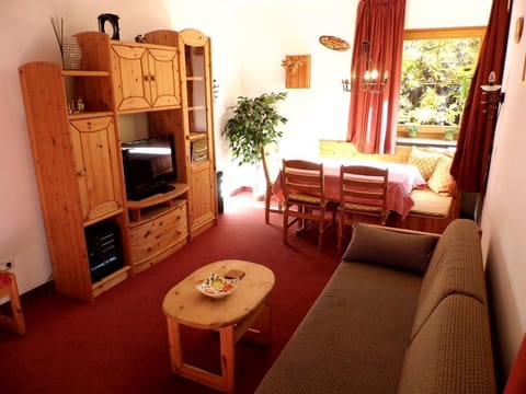 Apartment Mina - Apartments Novak Apartment in Salzburgerland