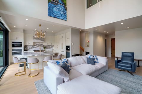 Very modern open living space and kitchen