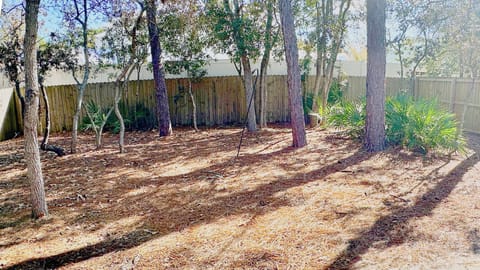 Shady fenced yard - great for evening hangs, pets, or letting the kids play!