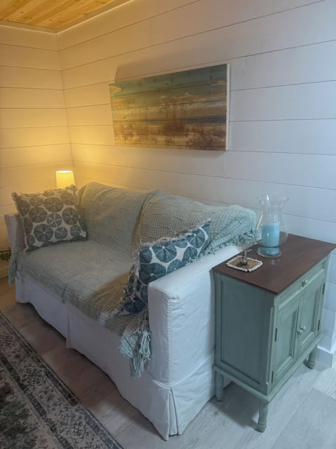 Living area/pull-out full size bed