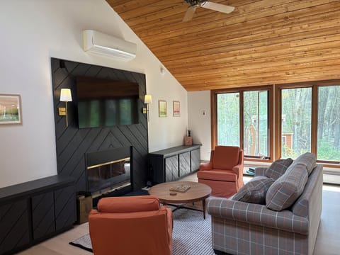 Living room with TV and fireplace