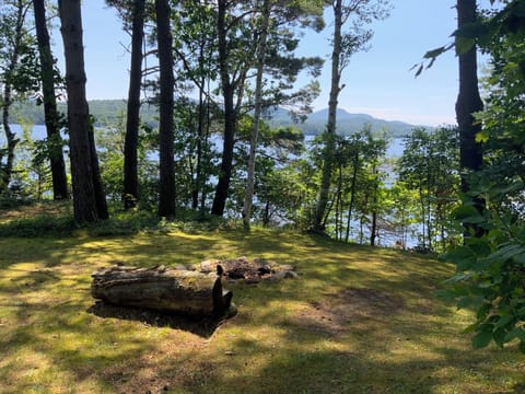 Wood Burning Fire Pit for Evening Campfires