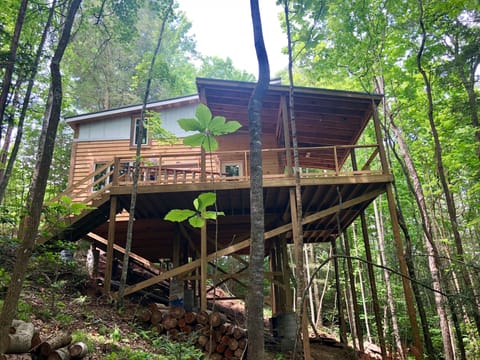 The Birdhouse, viewed downhill from the firepit
