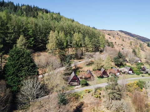 Tree, Leaf, Vegetation, House, Highland, Shrub, Landscape, Rural Area, Forest, Human Settlement