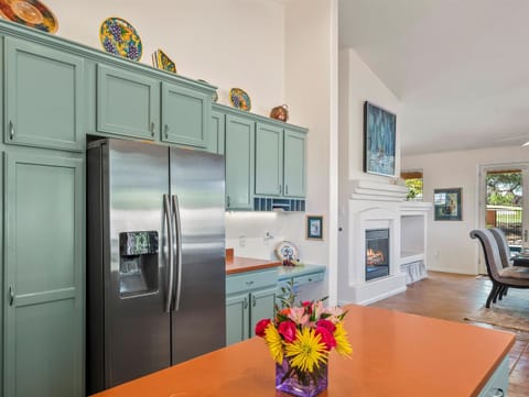 Stainless appliances