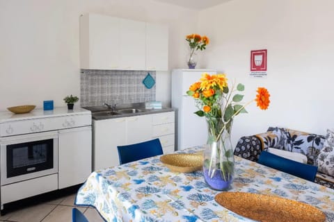 Autumn, Kitchen, Spring, Summer