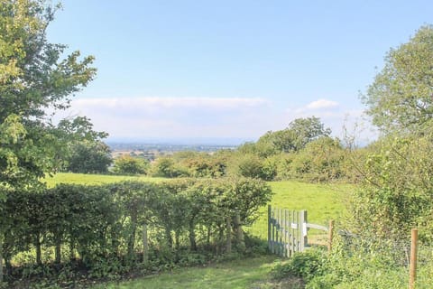 Region [summer] (>5 km)