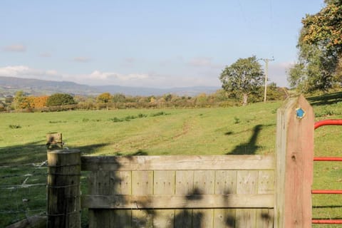 Region [summer] (>5 km)