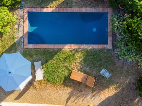 Blue, Swimming Pool, Garden, Reflection, Landscaping, Shade, Backyard, Hardwood, Water Feature, Resort