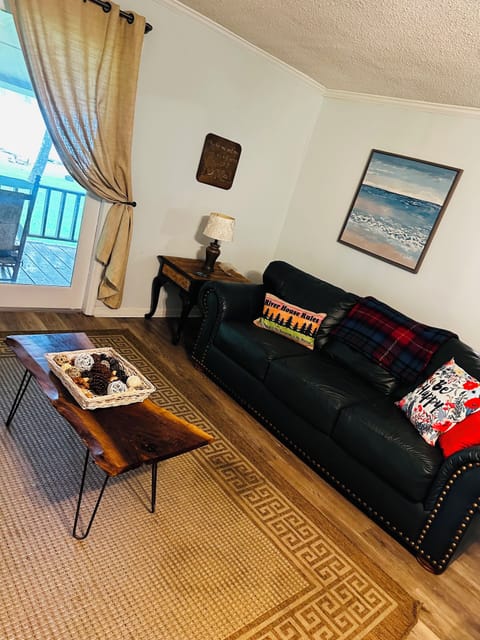 Full size leather couch