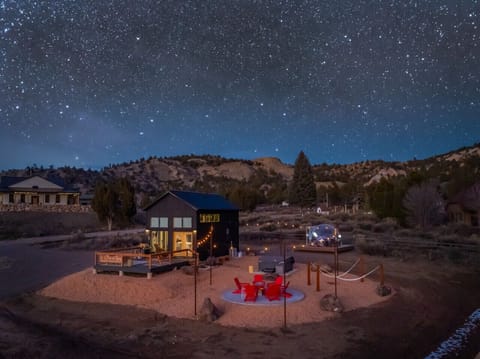 The stars come alive at night!