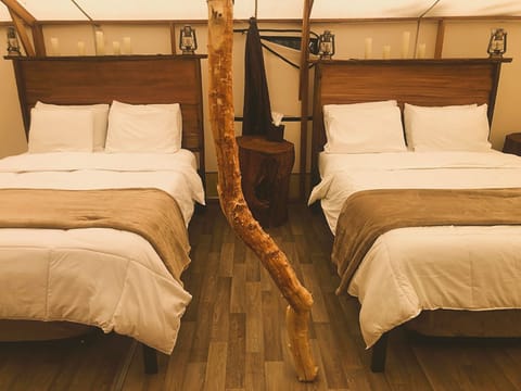 IMG_1526_Facetune_24-06-2022-16-46-25