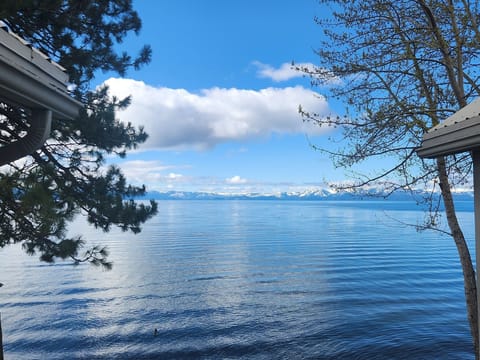 Patio view of Lake Tahoe