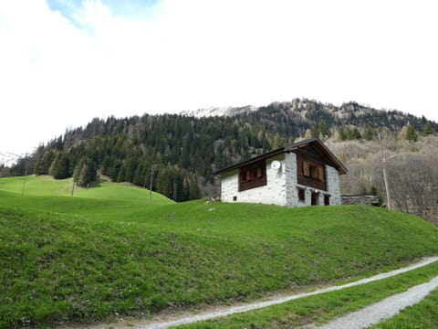 Grass, House, Home, Cottage, Landscape, Roof, Rural Area, Highland, Hill, Land Lot