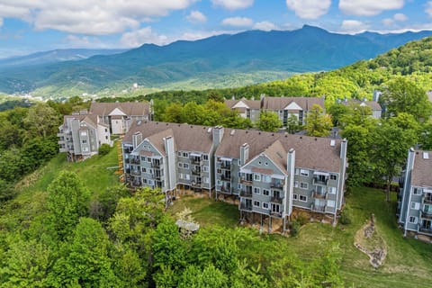 Aerial Property View