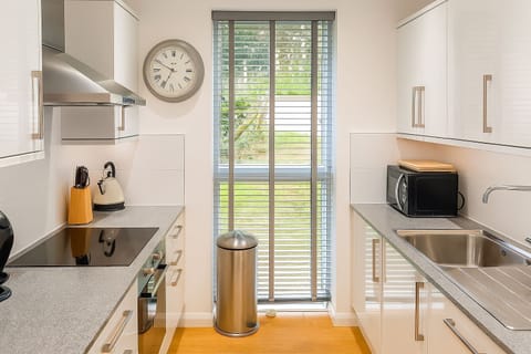 Modern kitchen with appliances