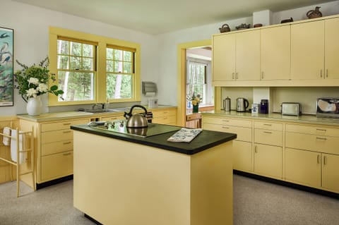 The sunny kitchen has a center island, woodstove, coffee maker, french press.