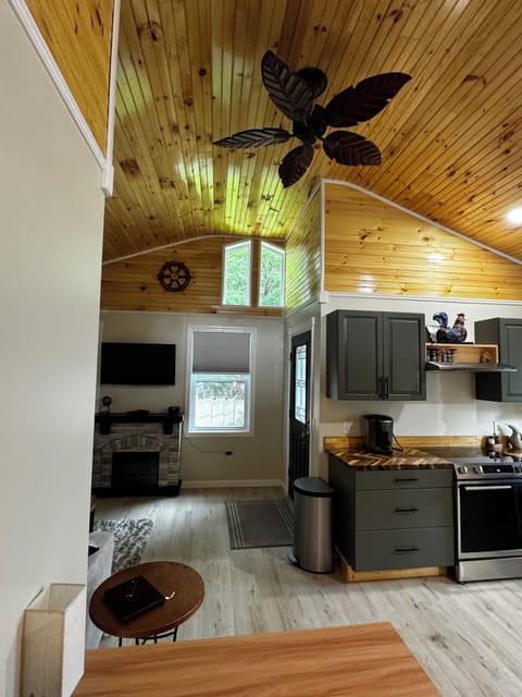 Kitchen / living area with lots of natural light