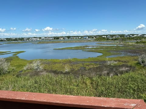 View from the back deck